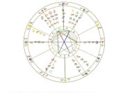 须弥海星盘的搭配技巧是什么？