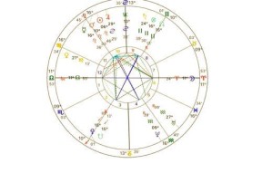 须弥海星盘的搭配技巧是什么？