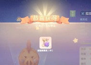精灵放生后提供的经验如何利用？