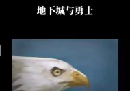 金锭在地下城中有哪些用途？如何使用？