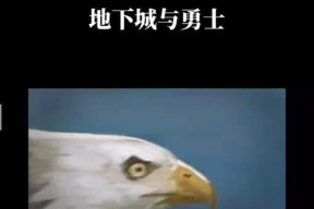 金锭在地下城中有哪些用途？如何使用？