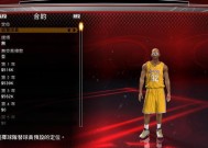 NBA2K13玩家必读（掌握这些关键技巧）