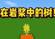 迷你世界半个树怎么种？种植技巧是什么？