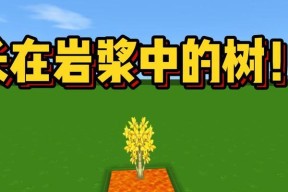 迷你世界半个树怎么种？种植技巧是什么？