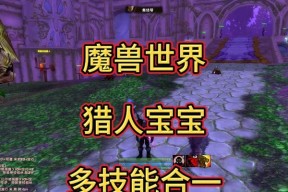 魔兽世界里面的孩子怎么获得？获取方法是什么？