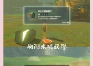 勇者之剑塞尔达如何进入地下城？进入地下城的条件是什么？