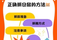 问道中鬼宠抓老鼠的技巧是什么？如何提高抓老鼠的成功率？