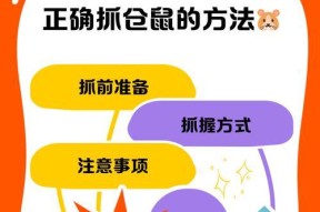 问道中鬼宠抓老鼠的技巧是什么？如何提高抓老鼠的成功率？