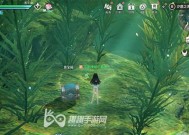 《天谕手游》头饰光环详解（探究游戏中的各类头饰光环）