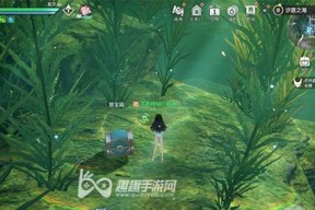《天谕手游》头饰光环详解（探究游戏中的各类头饰光环）