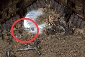 《屠龙战记》尸王殿全攻略（掌握尸王殿通关技巧）