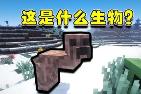 我的世界牵住生物的技巧有哪些？