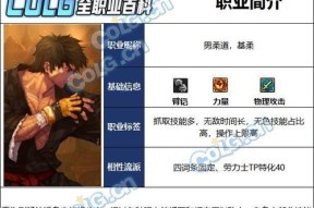 dnf柔道家适合哪种防具？防具选择对柔道家有何影响？