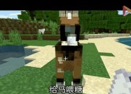 我的世界中马蛋的获取方式是什么？