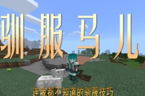 我的世界野马驯服方法是什么？驯服后能做什么？