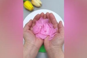 过山车之星樱花树怎么做？樱花树建造方法有哪些？