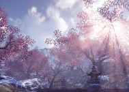 《消失在夜空中的眼泪》密室逃脱攻略详解（揭秘《消失在夜空中的眼泪》游戏中的谜题和解谜技巧）