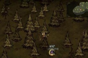 《饥荒大象驯服攻略》（掌握技巧）