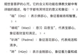 真言奥秘使用方法是什么？如何发挥最大效果？
