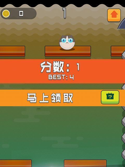 线上猫玩法攻略详解（玩转线上猫）  第2张