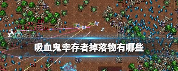 《吸血鬼幸存者》05版本新成就一览（探索游戏中的新挑战与奖励）  第3张