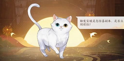 敢问猫在何方全成就攻略（一步步成为大师级猫玩家）  第3张