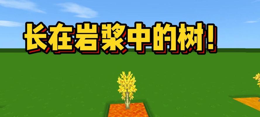 迷你世界半个树怎么种？种植技巧是什么？  第1张
