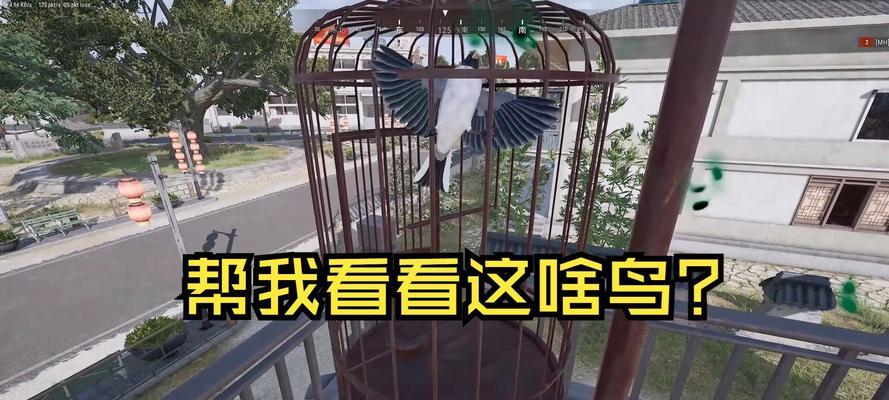 绝地求生蓉城鸟笼子开启技巧是什么？  第2张