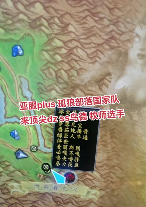 孤狼模式在魔兽世界中如何选择？  第2张