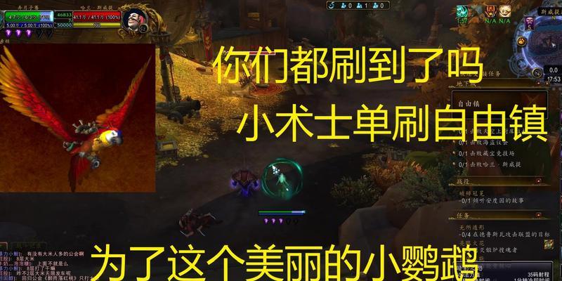 魔兽世界帽子上的鹦鹉怎么获得？获取方法是什么？  第3张