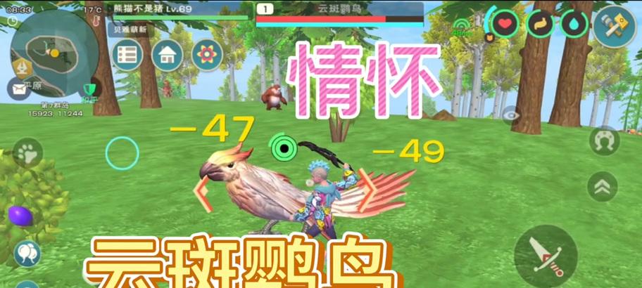 魔兽世界帽子上的鹦鹉怎么获得？获取方法是什么？  第2张