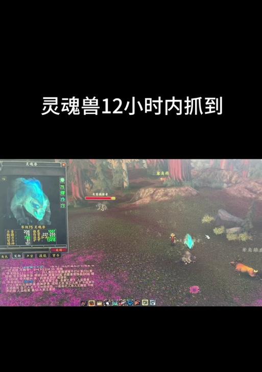 魔兽世界中灵魂之门的获取途径有哪些？  第2张