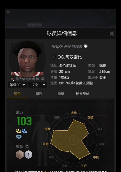 银色徽章5级不显示的原因是什么？如何解决？  第3张