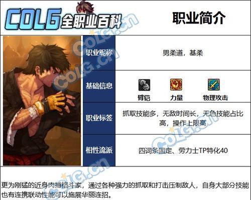 dnf柔道家适合哪种防具？防具选择对柔道家有何影响？  第1张
