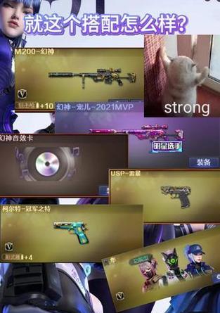 CF白鲨石头的价值如何评估？白鲨石头的市场价格是多少？  第3张