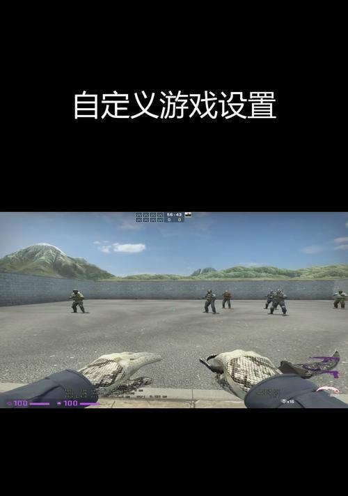 反恐精英online帧率低怎么办？如何优化设置？  第1张