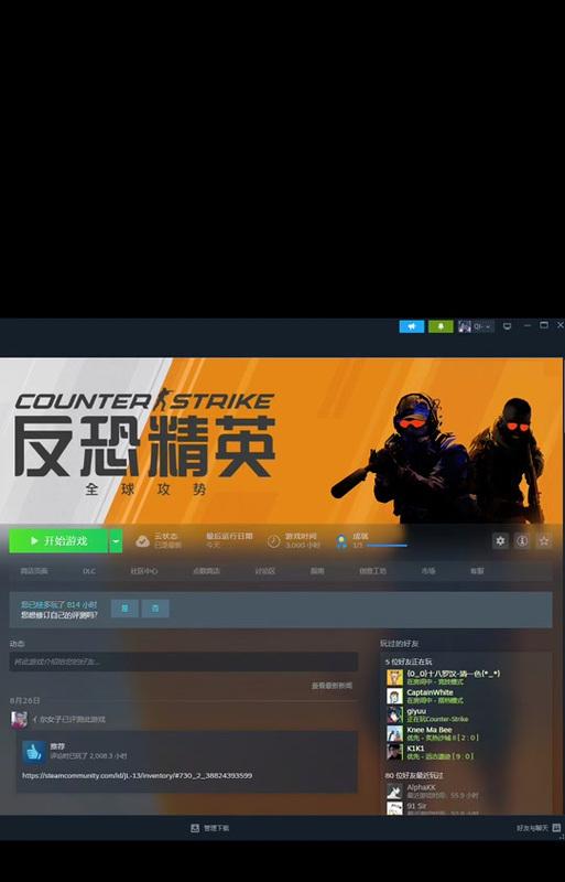 反恐精英2无法进行排位赛怎么办？解决方法有哪些？  第1张
