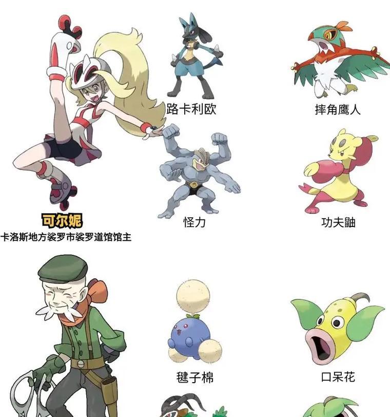 解放第三个道馆的技巧有哪些？需要哪些精灵？  第1张