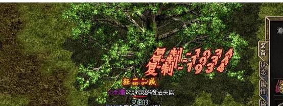 热血传奇卡毒符的方法是什么？  第3张