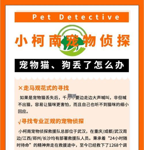 口袋妖怪宠物被偷后如何找回？找回宠物的步骤是什么？  第3张