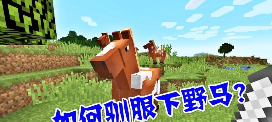 我的世界野马驯服方法是什么？驯服后能做什么？  第3张