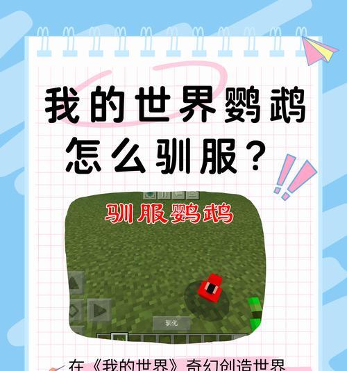 我的世界中凤凰的驯服方法是什么？  第2张