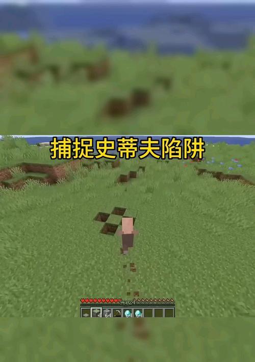 我的世界宠物插件捕捉方法有哪些？  第3张