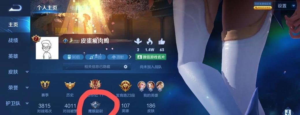 王者荣耀鹰眼小队（王者荣耀鹰眼小队的加入方法攻略）  第2张