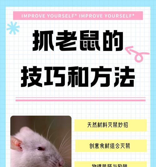 问道中鬼宠抓老鼠的技巧是什么？如何提高抓老鼠的成功率？  第3张