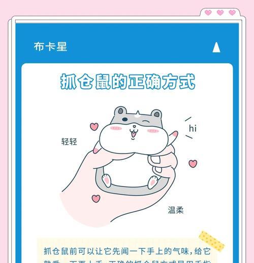 问道中鬼宠抓老鼠的技巧是什么？如何提高抓老鼠的成功率？  第2张