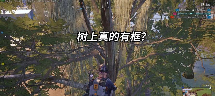 绝地求生PC版上树技巧是什么？如何在树上隐藏？  第3张